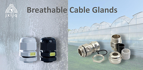 Everything about Breathable Cable Gland